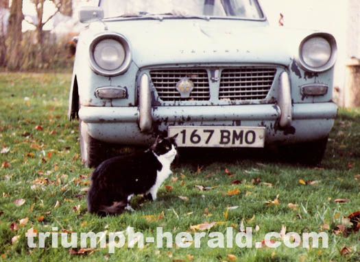 triumph herald