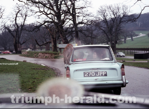 triumph herald